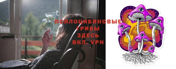 таблы Богданович