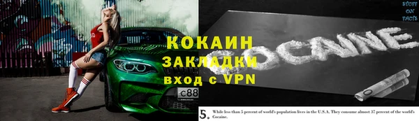 прущие грибы Богородск