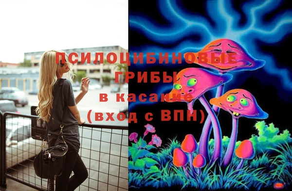 прущие грибы Богородск