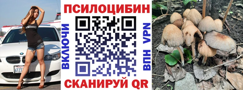 как найти Кушва Галлюциногенные грибы GOLDEN TEACHER